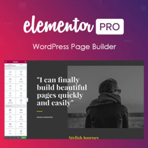 Elementor PRO WordPress Plugin 3.2.1