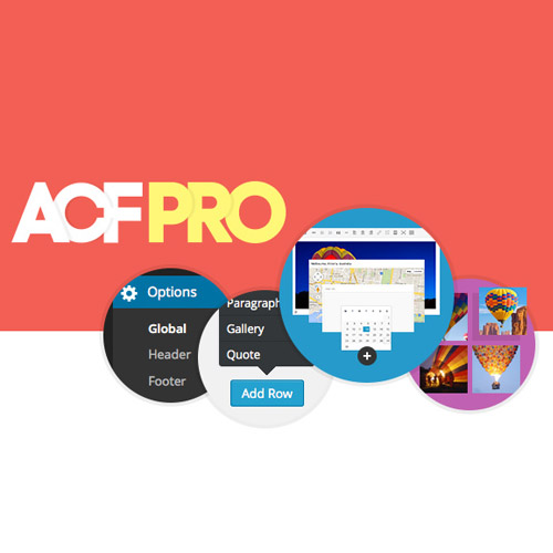 Advanced Custom Fields (ACF) Pro 5.9.6